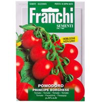 Franchi Sementi Principe Borghese Tomato 
